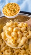 An image only pin of the instant pot full of the creamy mac and cheese.