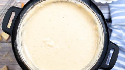 Instant Pot Cheese Fondue Copycat Melting Pot Recipe