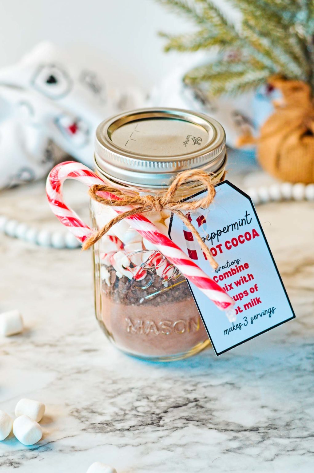 Peppermint Hot Cocoa Mix - Soulfully Made