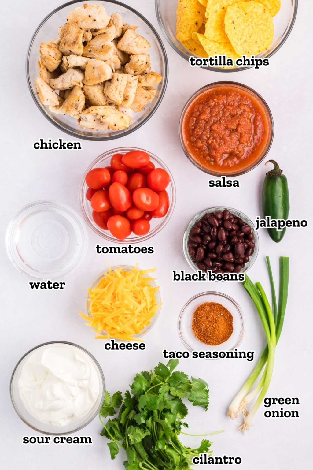 Loaded Chicken Nachos Recipe - Soulfully Made