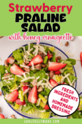 Strawberry Praline Salad with honey vinaigrette salad dressing image shot from overhead.