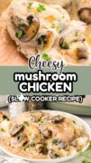 A 2 image collage of the Cheesy Mushroom Chicken Recipe for the slow cooker.