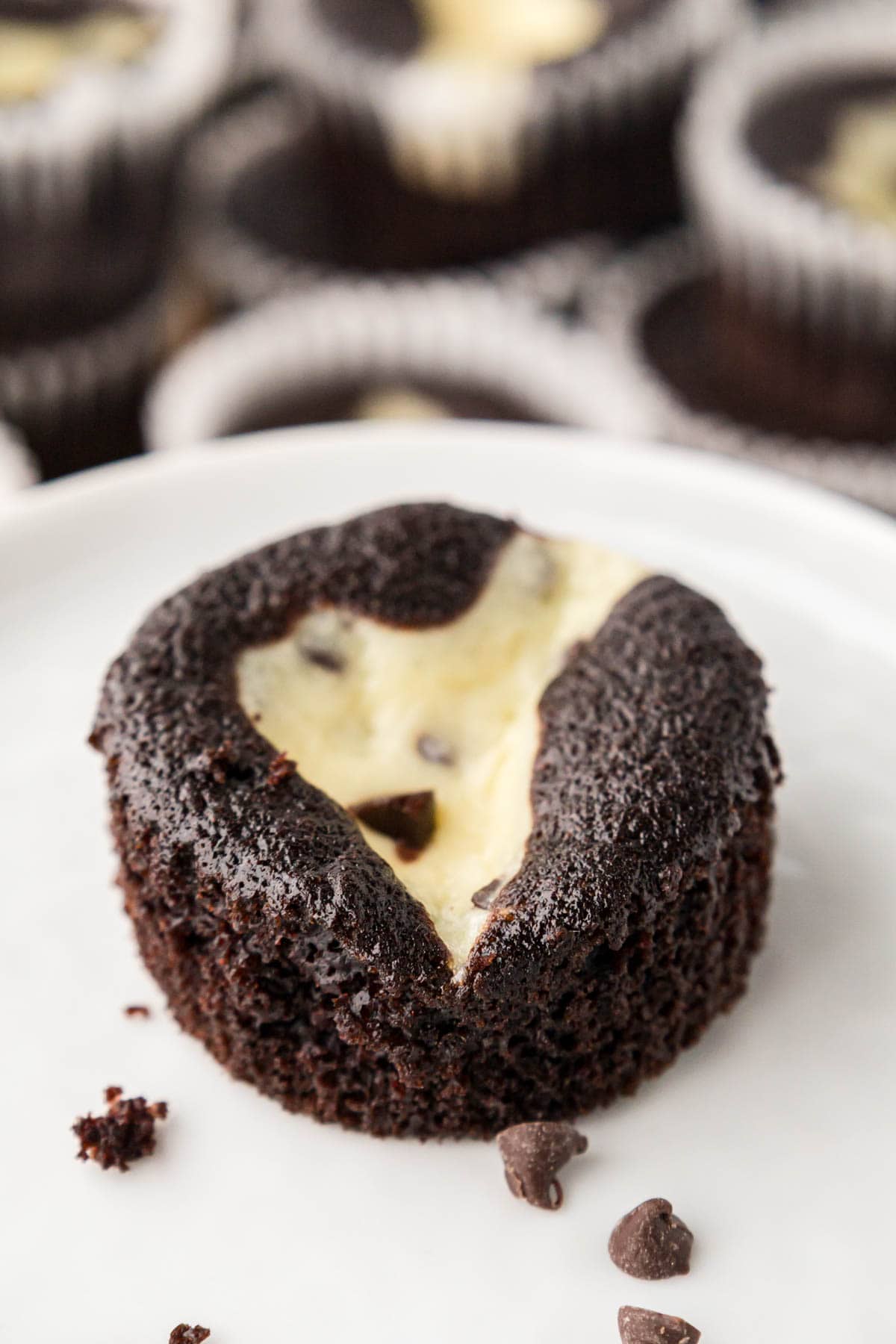 A chocolate cupcake with a cheesecake filling unwrapped from the liner on a white plate.