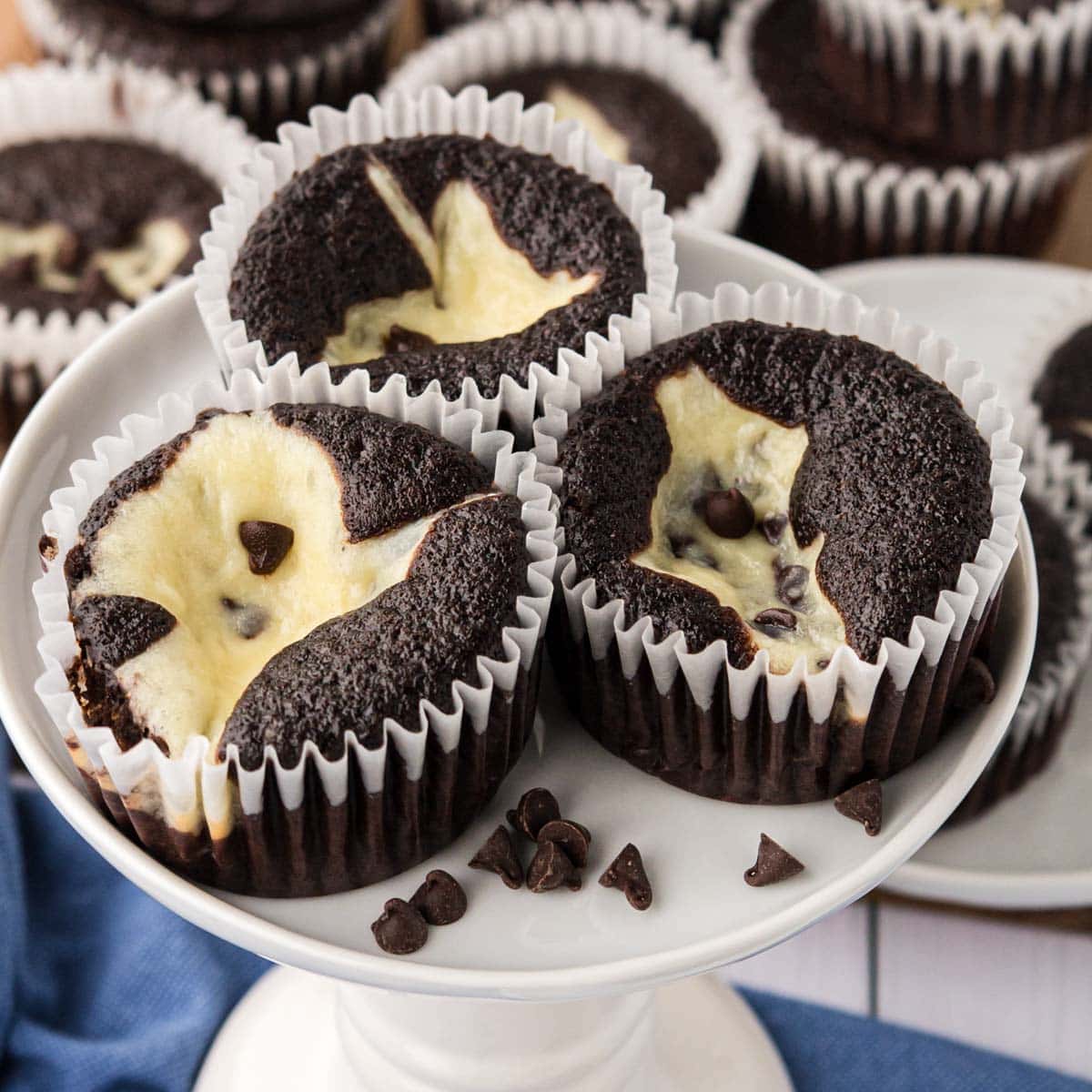 Black bottoms cupcakes in white paper liners on a cake pedestal.