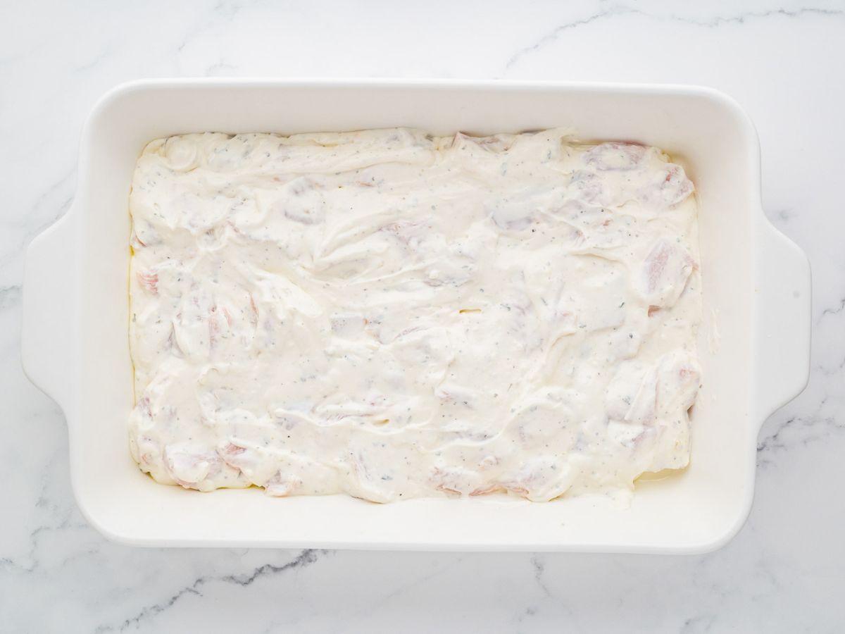 Creamy chicken layer in a the bottom of a white baking dish.