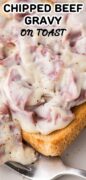 Chipped beef gravy on toast image closeup image.