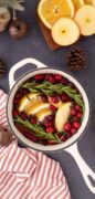 Image only for Christmas Simmer Pot potpourri image shot from overtop to show the simmering fruits and herbs.