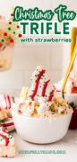 A bowl of Christmas Tree Trifle is shown with a red and green snack cake garnish and a gold spoon.