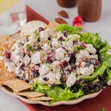 Turkey salad with dried cranberries and pecans on a bed of leafy greens served with crackers.