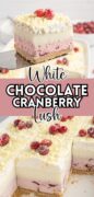 White chocolate Cranberry Dessert image featuring a slice with the sugared cranberries on top.