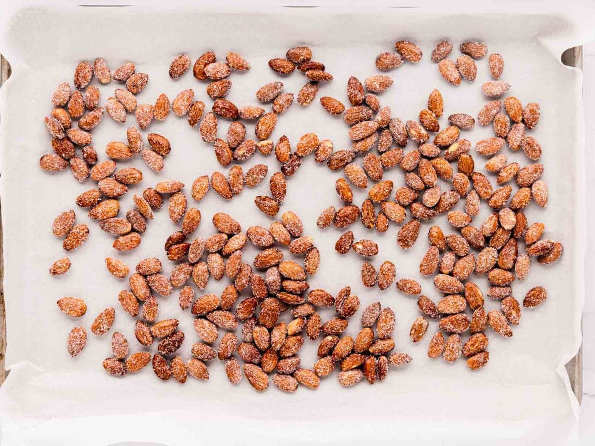 Honey roasted almonds on a sheet pan cooling after being coated in sugar and salt.